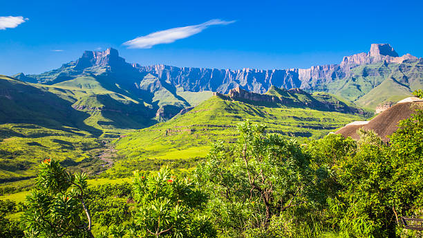 The majestic Amphitheatre mountain face in the Drakensberg, a popular hiking destination.
